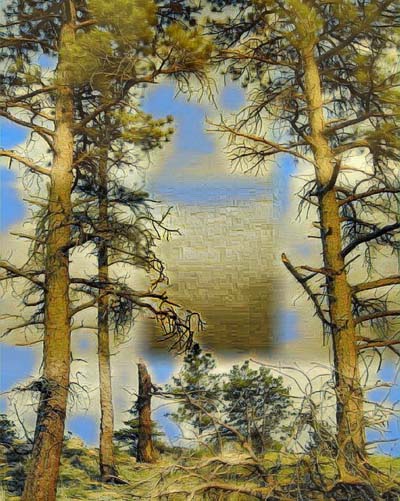 tree - d - 92837027 (1)